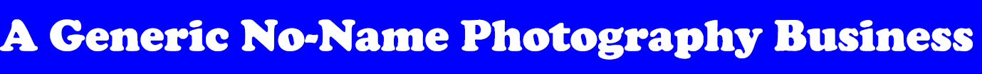 A Generic No Name Photography Business